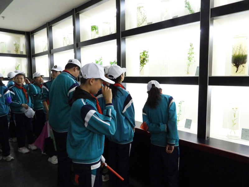 DSCN7616.jpg